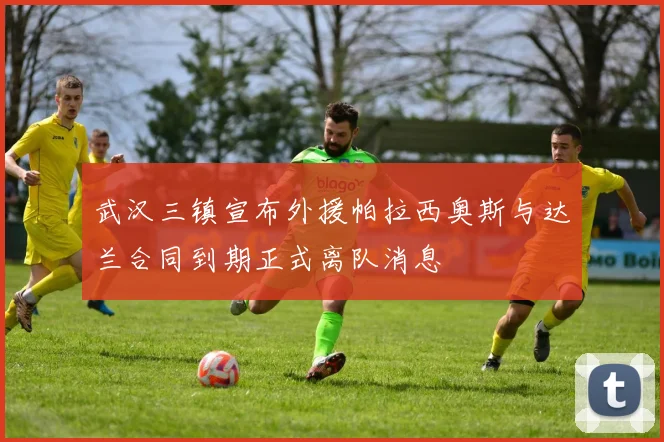 武汉三镇宣布外援帕拉西奥斯与达兰合同到期正式离队消息